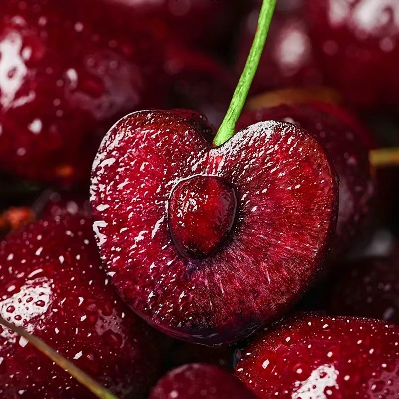 正宗智利进口车厘子4J大果礼盒装原箱新鲜高端水果整箱包邮樱桃,水产肉类/新鲜蔬果/熟食,车厘子/樱桃,淘宝优惠券,粉丝福利购,淘宝优惠卷