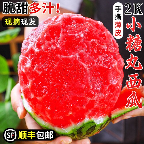 顺丰山东2k小糖丸西瓜水果新鲜