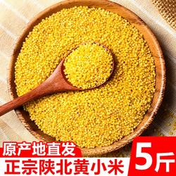 陕西新米米脂小米黄小米粗粮粥五谷杂粮真空陕北食用益康米油袋装