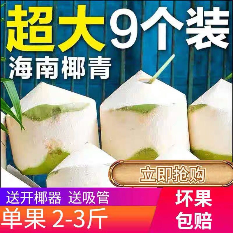 海南椰青新鲜椰子2/4/6/9个装孕妇水果香椰皇去皮一整箱特产包邮