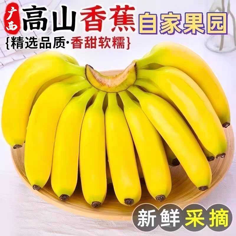 广西新鲜高山甜香蕉5斤9斤软糯香甜大个粉香蕉应季水果特级大芭蕉