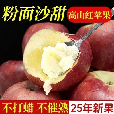 山西秦冠苹果5斤可脆可粉面口感新鲜水果高山种植丑苹果宝宝辅食