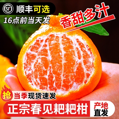 正宗四川春见耙耙柑粑粑柑水果新鲜当季整箱现摘发货丑橘橘子金桔