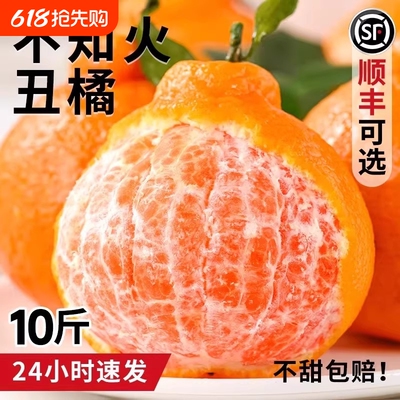 四川不知火丑橘水果新鲜应当季整箱桔子柑橘耙耙丑八怪优选大果