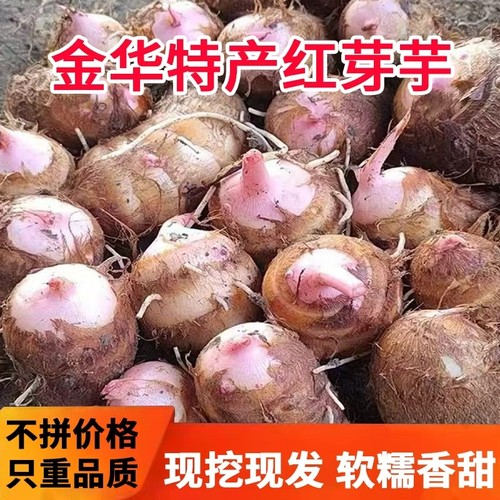 红芽芋头小芋仔毛芋艿香芋5斤新鲜现挖金华软糯香甜粉糯应季蔬菜