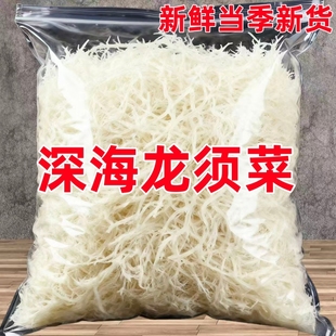 太便宜】龙须菜海石花新鲜即食批发鹿角菜凉拌菜素食过年必备凉菜