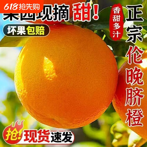 正宗伦晚脐橙水果新鲜当季整箱橙子9斤大果春橙秭归现摘手剥甜橙