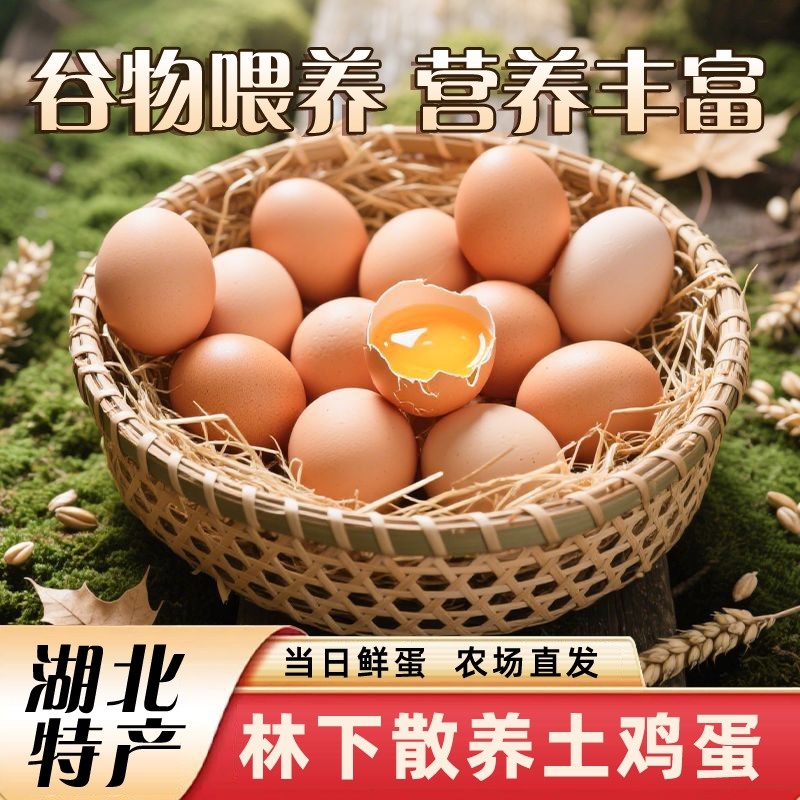 正宗土鸡蛋大别山散养新鲜鸡蛋虫老人早餐无腥无抗谷物蛋农场喂养