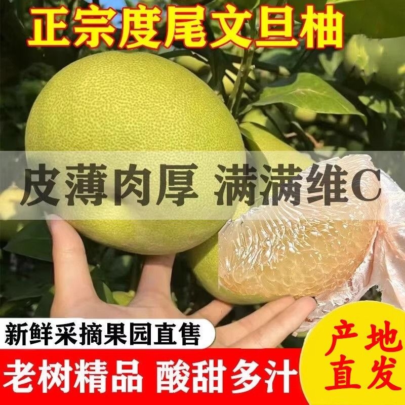 正宗福建度尾文旦柚红心柚子新鲜当季水果孕妇应季时令10斤装包邮