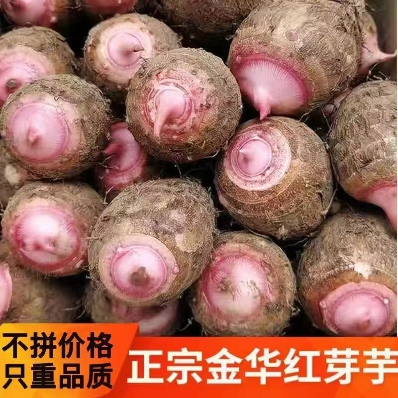 浙江金华牛奶芋当季新鲜小香芋红芽芋艿槟榔毛芋头蔬菜