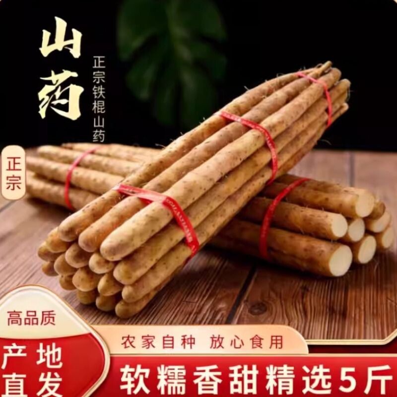 正宗铁棍新鲜山药小白嘴山药麻山药新鲜现挖产地直发宝宝辅食