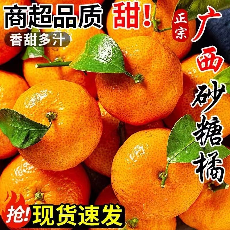 产地直发广西砂糖橘当季新鲜水果蜜桔橘子薄皮包邮整箱年货节采摘,水产肉类/新鲜蔬果/熟食,桔子,淘宝优惠券,粉丝福利购,淘宝优惠卷