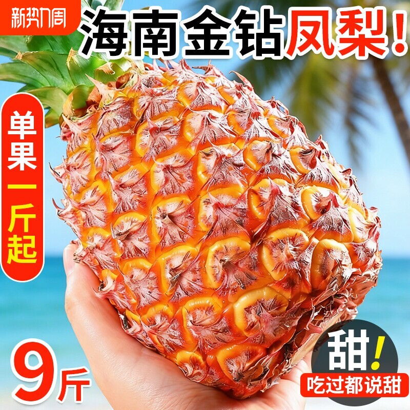 海南金钻凤梨新鲜水果树上熟芒果凤梨香水菠萝大果无眼整箱包邮