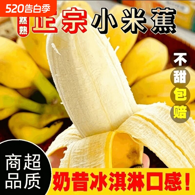 苹果蕉正宗香蕉芭蕉新鲜水果当季整箱自然熟小米蕉芭蕉包邮粉蕉
