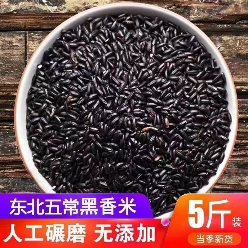 东北农家黑米黑香米五谷杂粮024新鲜新米粗粮营养糙米杂粮