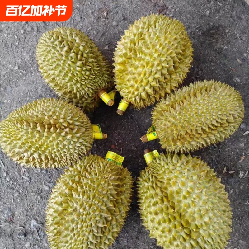 顺丰泰国进口金枕榴莲鲜果带壳一整个新鲜直达包邮到家果肉