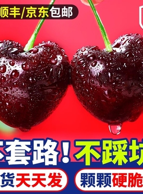 车厘子智利进口5斤现货新鲜水果大樱桃当季黑珍珠送礼女友4J礼盒