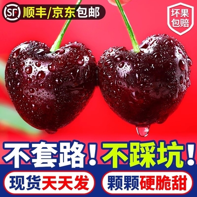 智利车厘子丨高品质甄选黑果