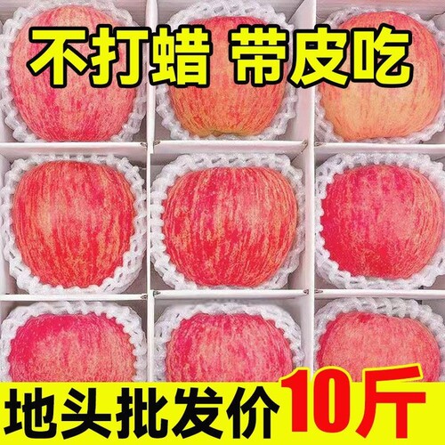陕西新鲜红富士苹果水果当季冰糖心丑苹果脆甜10平果5斤整箱包邮