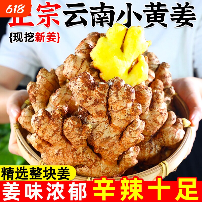 云南小黄姜正宗生姜老姜新鲜罗平农家自种黄姜月子姜干姜非嫩母姜