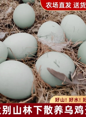 散养绿壳鸡蛋50枚大别山乌鸡蛋现捡正宗土鸡蛋农场自提配送山林