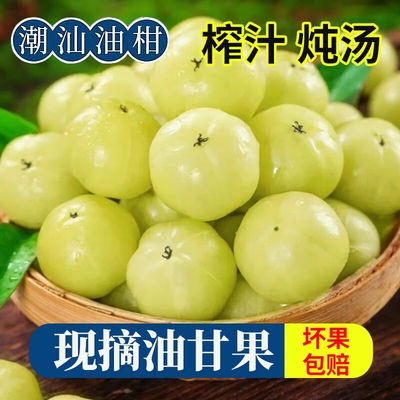 潮州高山油柑果甘甜|千人加购