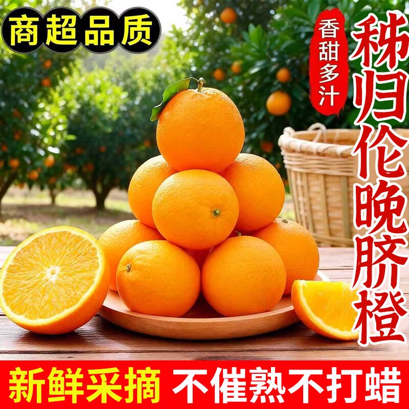 正宗伦晚脐橙橙子秭归新鲜皮薄现摘无籽孕妇当季水果整箱大果鲜果