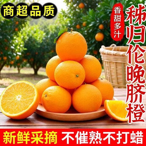 正宗伦晚脐橙橙子秭归新鲜皮薄现摘无籽孕妇当季水果整箱大果鲜果