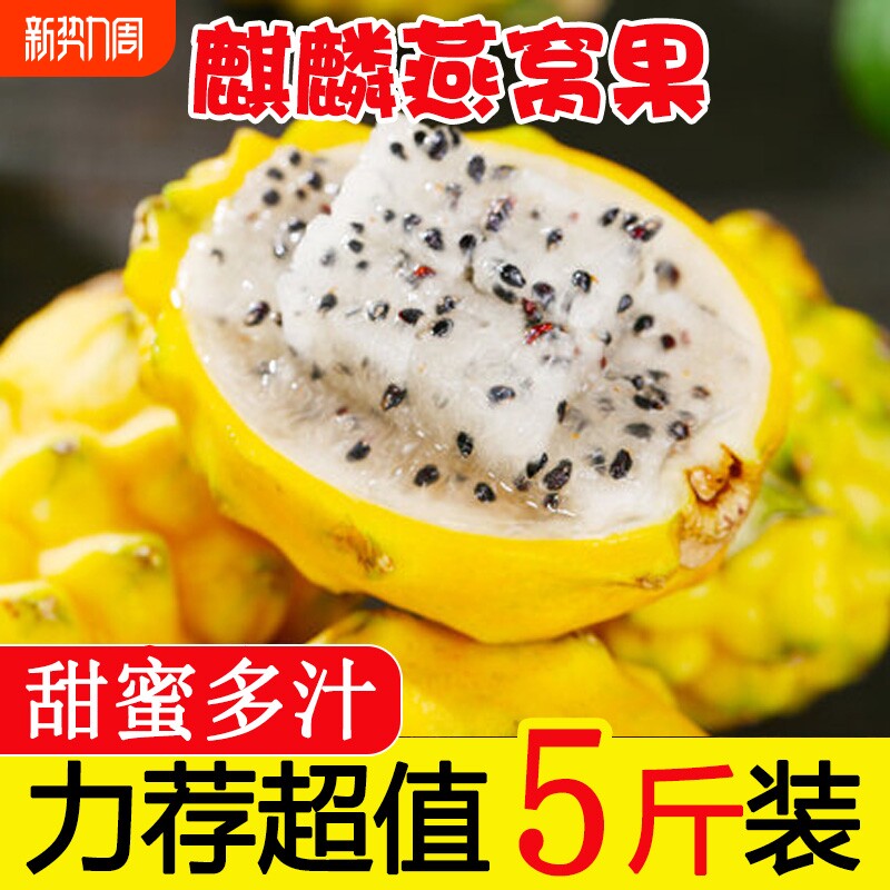 正宗新鲜麒麟燕窝果当季黄皮白心火龙果热带特产新鲜水果海南包邮