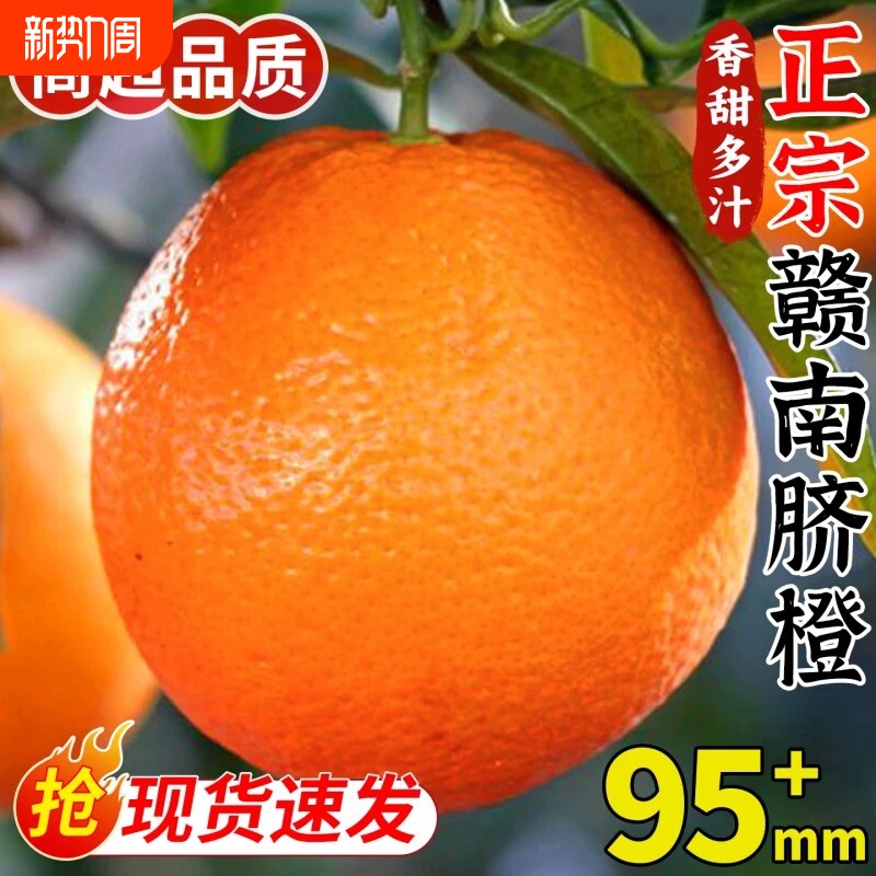 赣南脐橙橙子新鲜江西官方旗舰店直发赣州鲜水果年货节当季大果