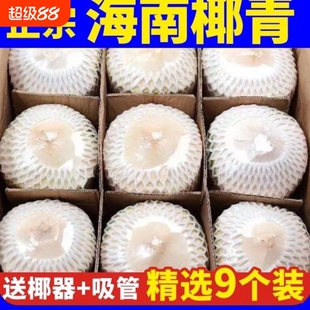 正宗海南新鲜椰子椰青2-9个装当季水果现摘去皮青椰子水整箱包邮