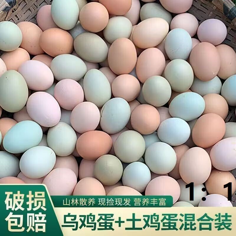 混合装农家山林散养正宗新鲜现捡绿壳土鸡蛋虫草蛋柴鸡蛋乌鸡蛋