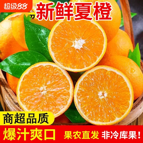 夏橙脐橙新鲜湖北秭归橙子水果当季冰糖果冻橙官方旗舰店现摘大果