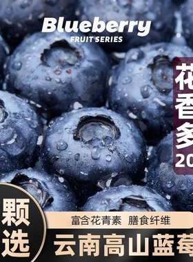 云南高山蓝莓鲜果新鲜水果当季怡颗蓝莓高山L25花香现摘整箱包邮