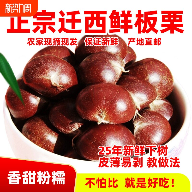2025年正宗河北唐山迁西板栗生新鲜栗子3113燕山油栗子产