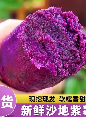 沙地现挖新鲜紫薯紫色红薯地瓜新鲜蔬菜粗粮农家自种正宗沙地紫薯