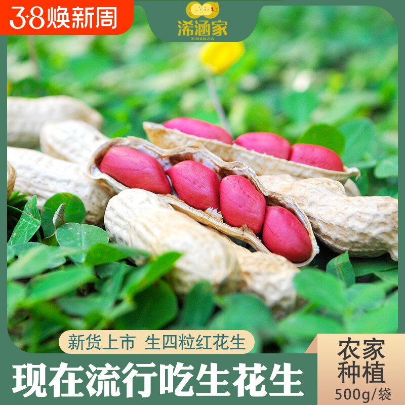25年红皮花生米新货5斤四粒红新鲜晒干红衣小花生原味带壳生花生