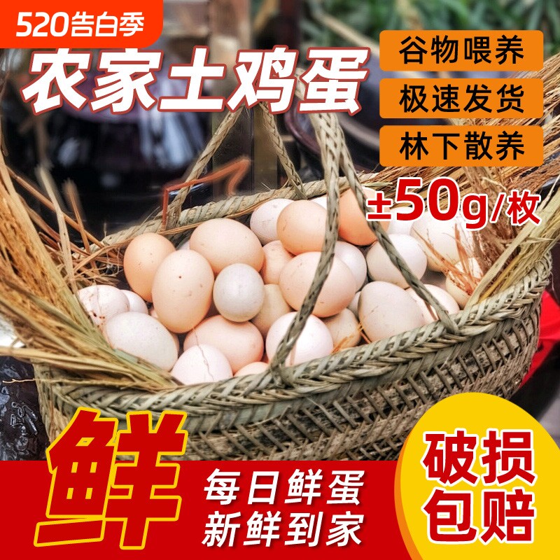 新鲜土鸡蛋农村散养湖北大别山孕妇儿童虫草蛋早餐营养谷物鲜蛋