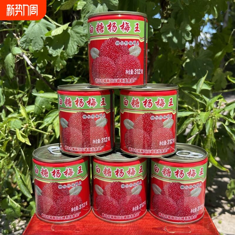 杨梅罐头水果杨梅铁罐头即食品送礼商用烘焙专用老少皆宜解馋解腻