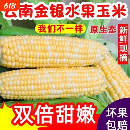 新鲜甜玉米棒云南双色水果玉米新鲜蔬菜当季农家带皮带壳带玉米须