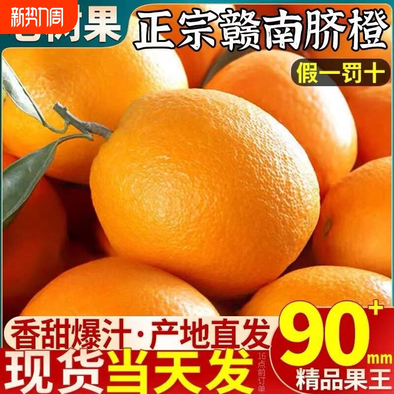 橙子江西赣南脐橙新鲜正宗10斤大果当季水果孕妇甜橙赣州产地直发