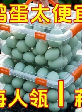 高邮咸鸭蛋流油正促销新鲜高油整箱批发腌制鸡蛋红心