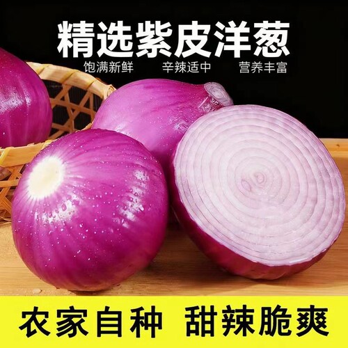 新鲜紫皮洋葱9斤|超1000次加购