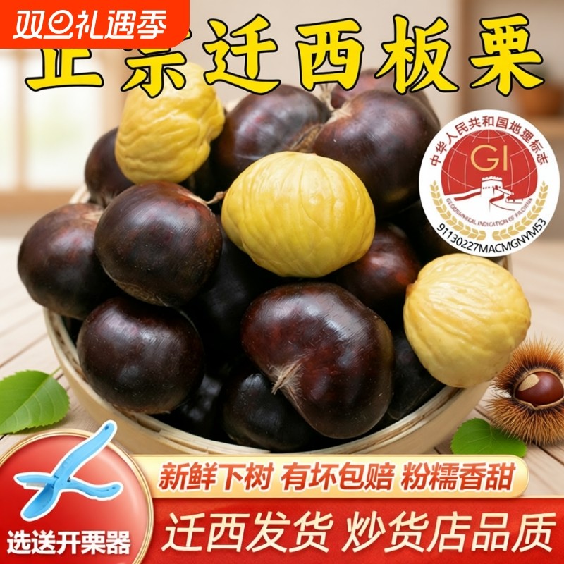 迁西新鲜板栗生鲜板栗大油栗子河北省唐山燕山板栗小毛栗子包邮