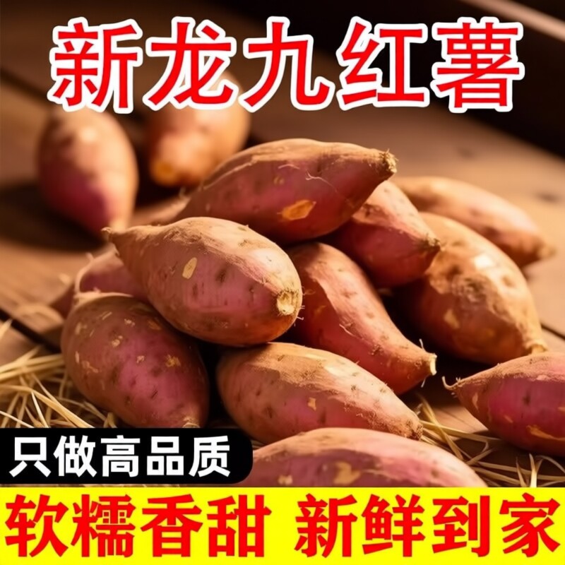新鲜沙地红薯板栗蜜薯龙九地瓜甜粉糯番薯小香薯农家自种山芋红心