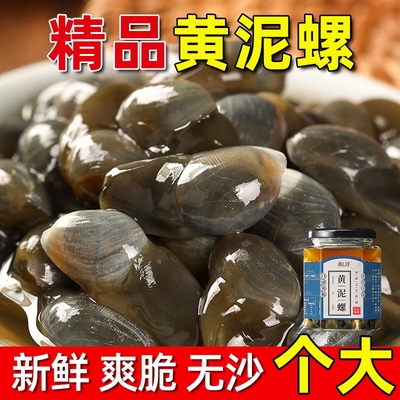 舟山泥螺特大号即食黄泥螺生腌鲜活醉宁波特产海鲜新鲜腌制醉泥螺