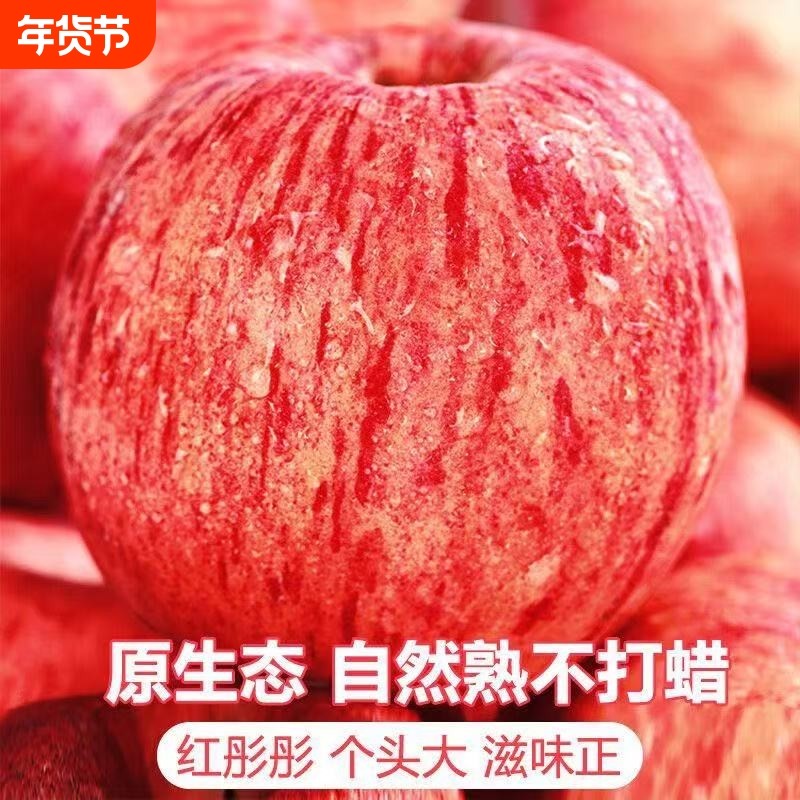 正宗山东烟台红富士苹果新鲜水果应当季栖霞脆甜果肉透亮如蜜,水产肉类/新鲜蔬果/熟食,苹果,淘宝优惠券,粉丝福利购,淘宝优惠卷