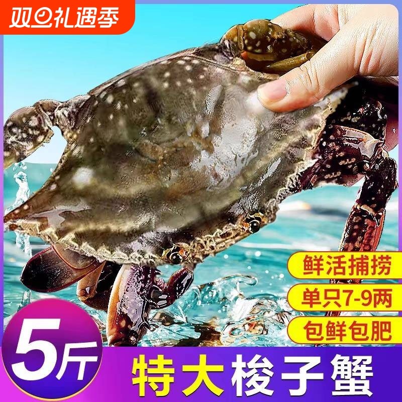 梭大蟹特冻螃蟹鲜新鲜冷海蟹水产飞蟹冷冻批发肉肥梭子蟹鲜活冻蟹