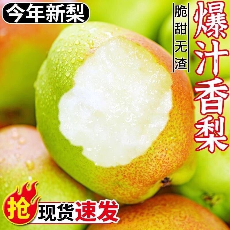 正宗新疆红香酥梨香梨新鲜应季水果梨子脆甜青薄皮整箱批发年货节