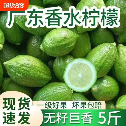 广东香水柠檬一级果二级果奶茶店专用无籽商用手打柠檬茶